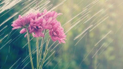 Прогноз погоды на 1 июня: в северной части территории Казахстана пройдут дожди с грозами