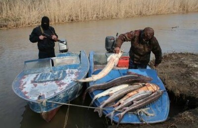 В Атырауской области исчезли «браконьеры в погонах»