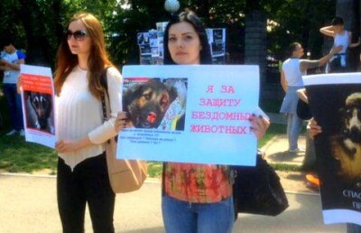 Алматинцы на митинге позвали Байбека посетить "концлагерь", где убивают бездомных животных