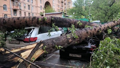 Число погибших при урагане в Москве и Подмосковье увеличилось