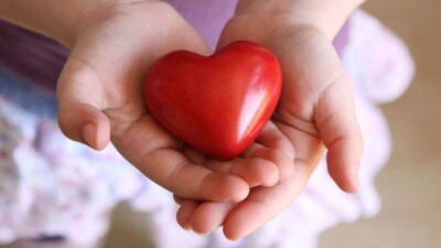 Более четырёх тысяч казахстанцев ожидают трансплантации органов