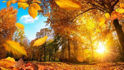 Прогноз погоды на 1 октября: почти на всей территории Казахстана будет без осадков