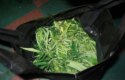 В США с неба упал пакет с 12 килограммами марихуаны 