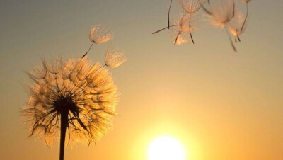 Казгидромет объявил штормовое предупреждение в пяти регионах страны