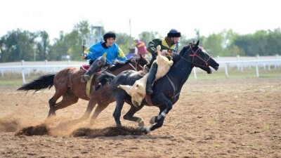 Организатора турнира по кокпару в Алматинской области задержали за нарушение режима ЧП