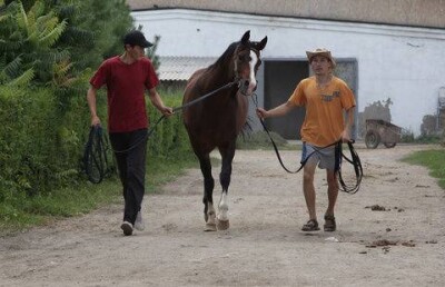Власти Алматы выделили четыре миллиарда тенге на выкуп ипподрома