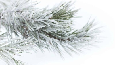 Прогноз погоды на 30 декабря: туман, гололёд и метель ожидаются в Казахстане