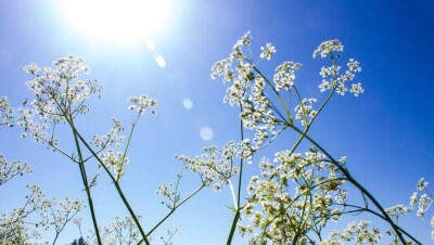 Лишь на северо-западе и юго-западе Казахстана 9 июня ожидается погода без осадков