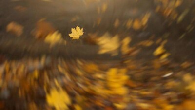 Прогноз погоды на 24 сентября: на западе страны ожидаются заморозки, на севере – шквал