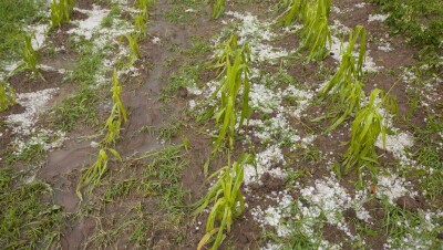 Прогноз погоды на 16 сентября: в Казахстане местами пройдут дожди с грозами, возможен град