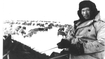 Қайта тоғысқан әке мен бала тағдыры