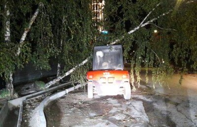 Из-за непогоды в Алматы несколько деревьев рухнуло на машины и трактор