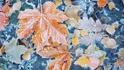 Прогноз погоды на 19 октября: в трёх областях на юге Казахстана ожидаются заморозки