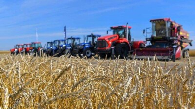 Токаев поблагодарил аграриев: Урожай в 20 млн тонн зерна полностью обеспечит внутренние потребности РК