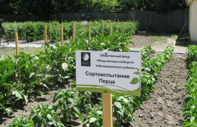 Новый закон заставит учёных пахать 