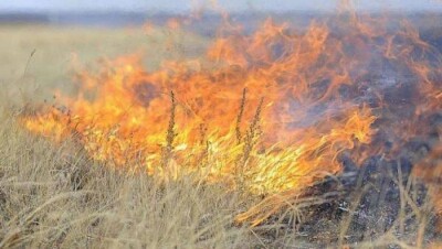 В Актобе горит "Верблюжья гора", огонь подбирается к трассам