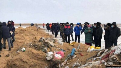 В 7,2 млрд тенге оценили ущерб экологии от свинофермы в Актюбинской области