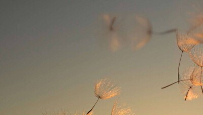 Штормовое предупреждение из-за грозы и ветра объявили в четырёх регионах Казахстана