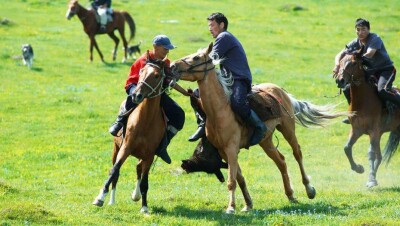 Жители сёл Жамбылской области устроили кокпар и кудалык, несмотря на запрет во время ЧП
