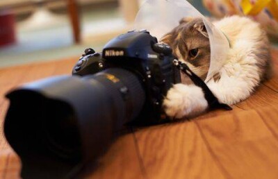 Акорда объявила фотоконкурс "Независимость глазами казахстанцев"