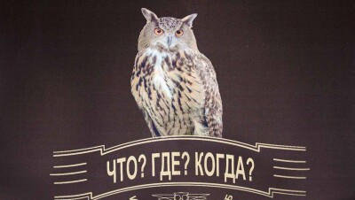 Алматинцы до 2018 года заняли очередь для участия в игре "Что? Где? Когда?"