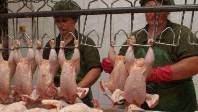 Кыргызстан снял ограничения на ввоз казахстанской птицы 