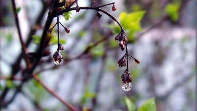 Осадки почти на всей территории Казахстана ожидаются 17 апреля