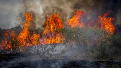 Лесные пожары. Специалисты "Казавиалесоохраны" ожидают огненную осень