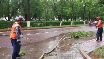 В Караганде шквальный ветер оставил без электричества жителей нескольких районов