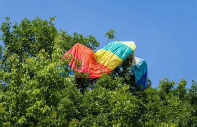 Спасатели ВКО сняли с дерева унесённую ветром парашютистку