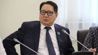 Синхронным плаванием с рублём назвал ситуацию с курсом тенге депутат Жамалов 