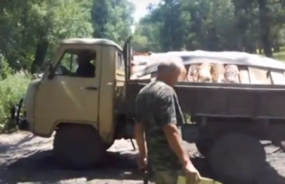 Застрявший по дороге на зону отдыха "Москвич", гружёный трупами собак, снял житель Семея