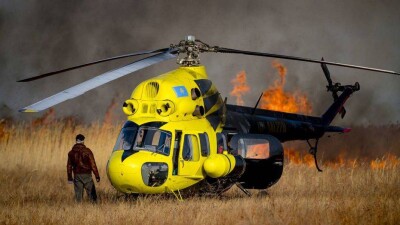 В Казахстане завершился сезон природных пожаров. Саксаульник Мойынкума удалось уберечь от огня