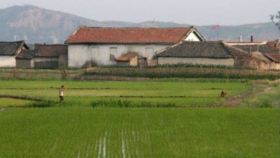 В КНДР заявили о продовольственном кризисе из-за непогоды и санкций ООН