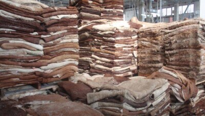 В Генпрокуратуре признали проблему теневого экспорта шкур крупного рогатого скота