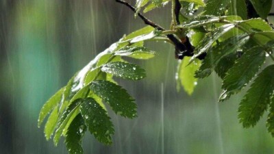 На большей части Казахстана 6 мая пройдут дожди 