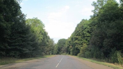 Вдоль двух республиканских трасс появятся зелёные насаждения