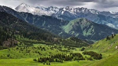 В Алматы с 14 июля запрещён въезд на территорию национальных парков