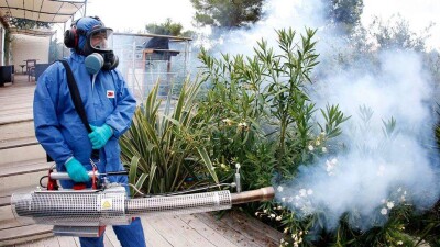 Вспышку лихорадки денге зафиксировали в Мексике 