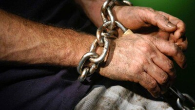 Громкое дело о рабстве в Карагандинской области: фермеры рассказали свою версию