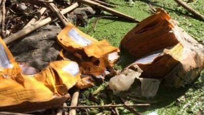 Разбросанные пенсионные выписки на берегу реки в Уральске украли у почтальона
