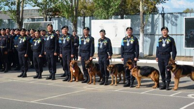 К работе на ЭКСПО привлекут 63 кинолога со служебными собаками