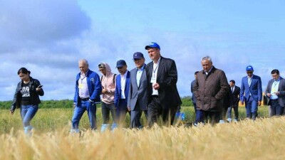 Уникальные сорта пшеницы и ячменя презентовали в Костанайской области 