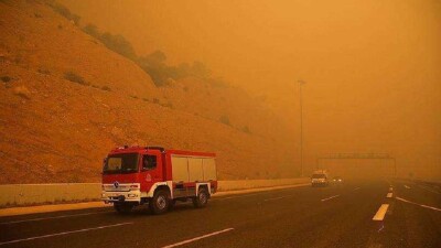 Число жертв лесных пожаров в Греции возросло до 87 человек