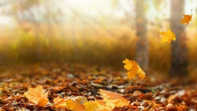 Прогноз погоды на 27 октября: тепло и сухо будет на большей части Казахстана