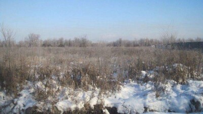 Четыре тысячи земельных участков незаконно выделили в Казахстане