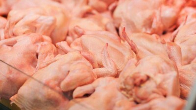 Ограничения на транзит мяса птицы через Россию в Казахстан отменили
