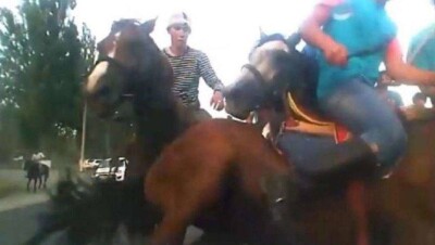 Полиция ищет джигита, чья лошадь во время кокпара повредила машину алматинке