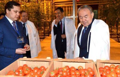 Нурсултан Назарбаев посетил тепличный комплекс в Актюбинской области