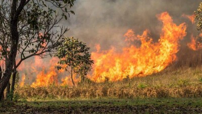 В Греции из-за лесных пожаров эвакуируют туристов